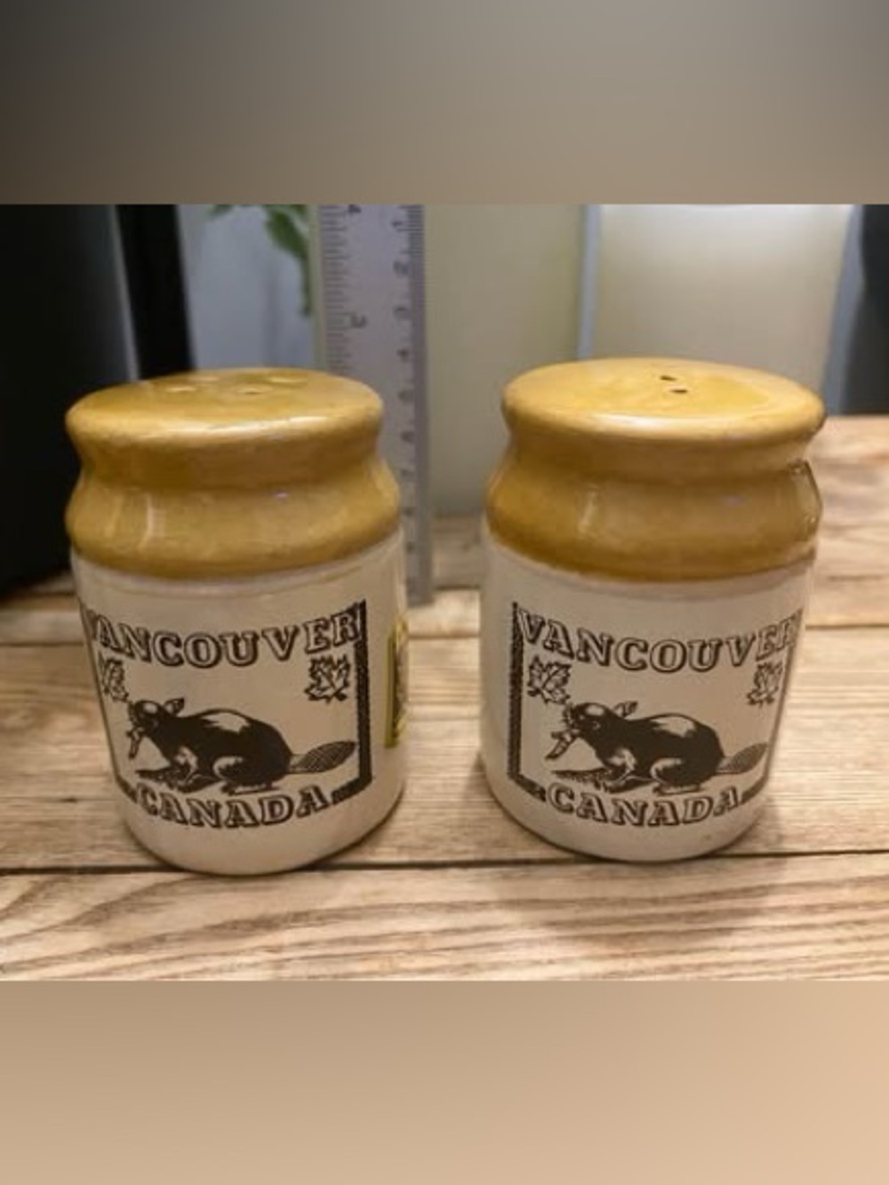 Vintage Vancouver Canada Beaver Stoneware Crock Salt & Pepper Shakers A. Cameron
